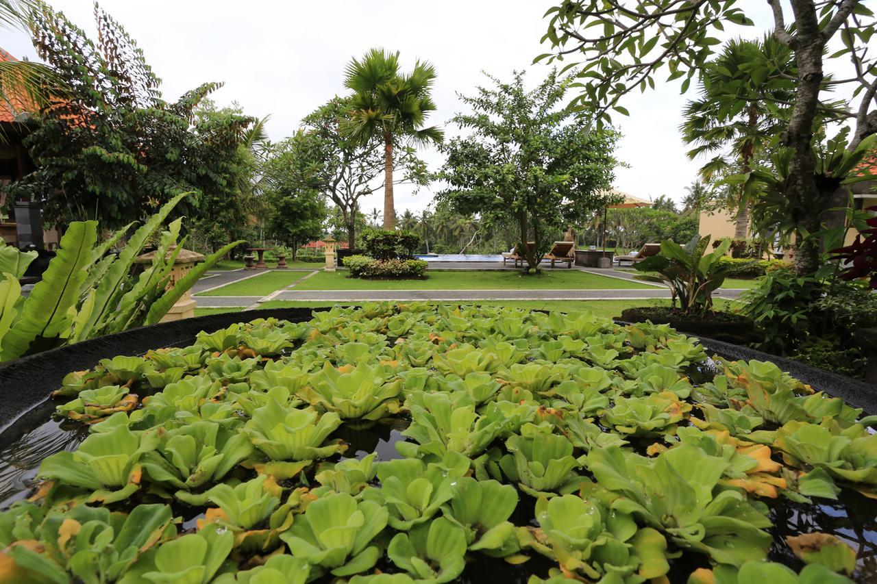 Maison d'hôtes Luna Llena Ubud