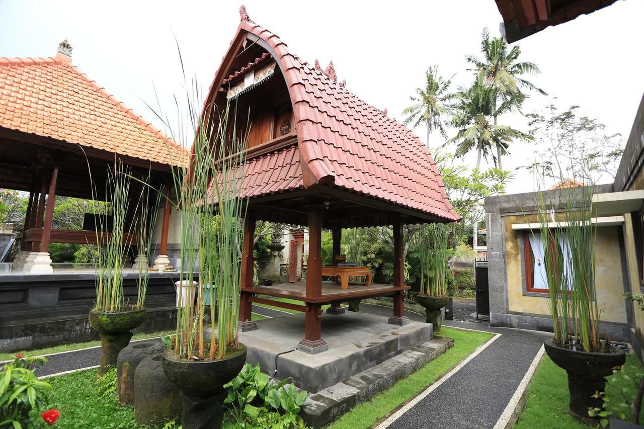 Wisma tamu Luna Llena 3*